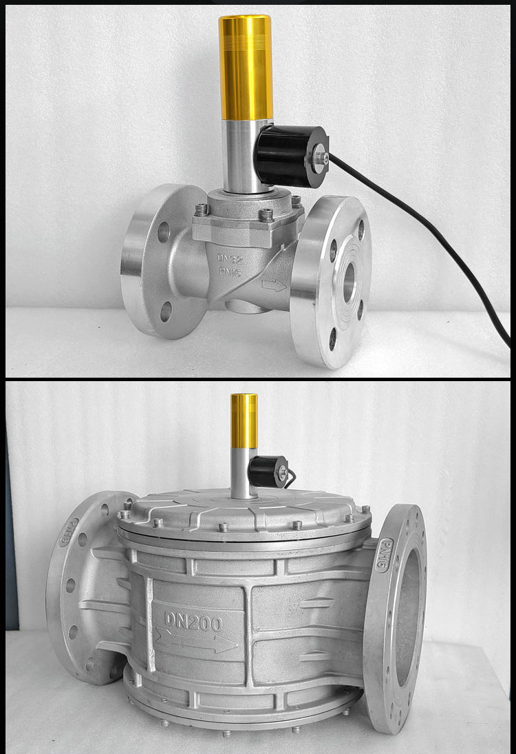 進口燃?xì)怆姶砰y高清實物圖_副本.jpg 進口燃?xì)怆姶砰y高清實物圖_副本.jpg