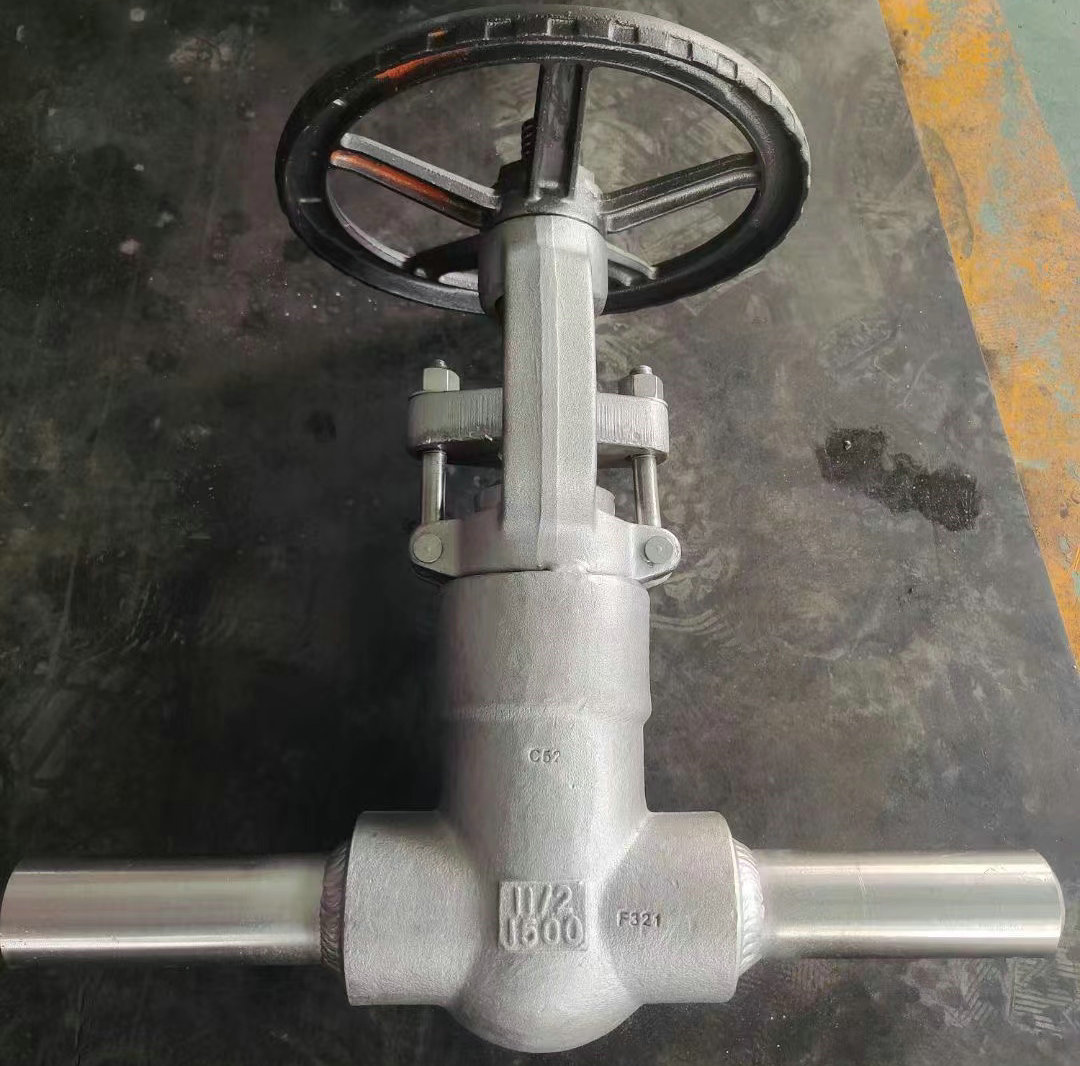 鍛鋼延長(zhǎng)閥體閘閥高清實(shí)物圖片 鍛鋼延長(zhǎng)閥體閘閥高清實(shí)物圖片